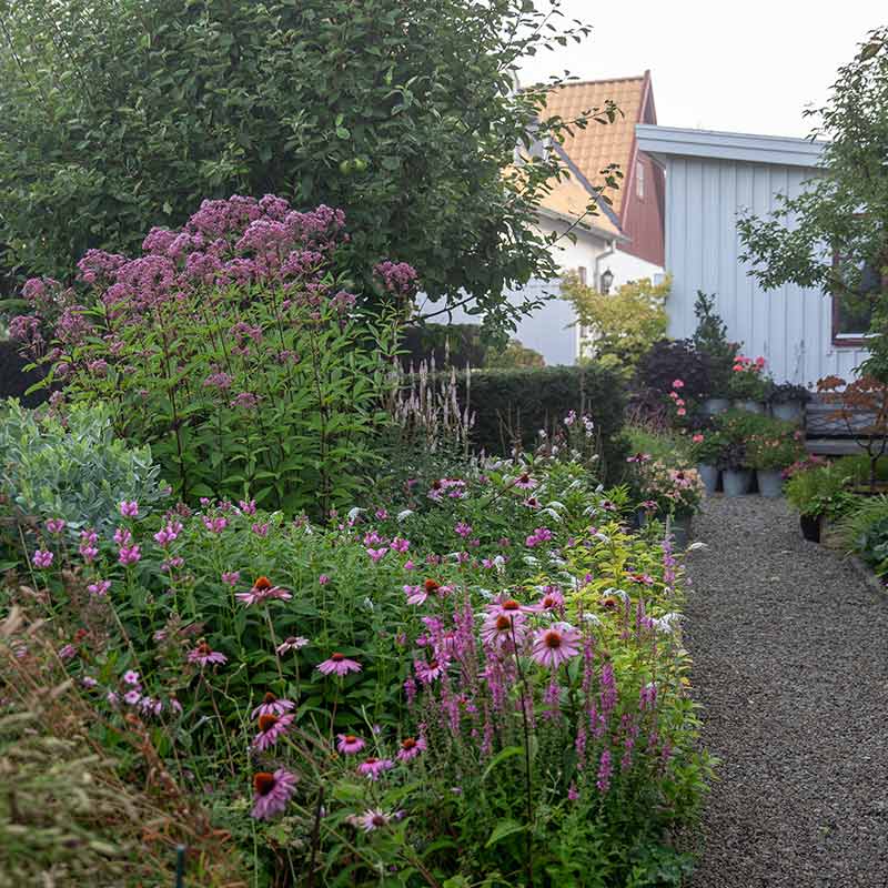 vaxter-grusgang-plantering Karolina Brising Länsmansgårdens Design - Stångby Akademi, seminarium. Trädgårdsdesign - att lyckas med sin vision.