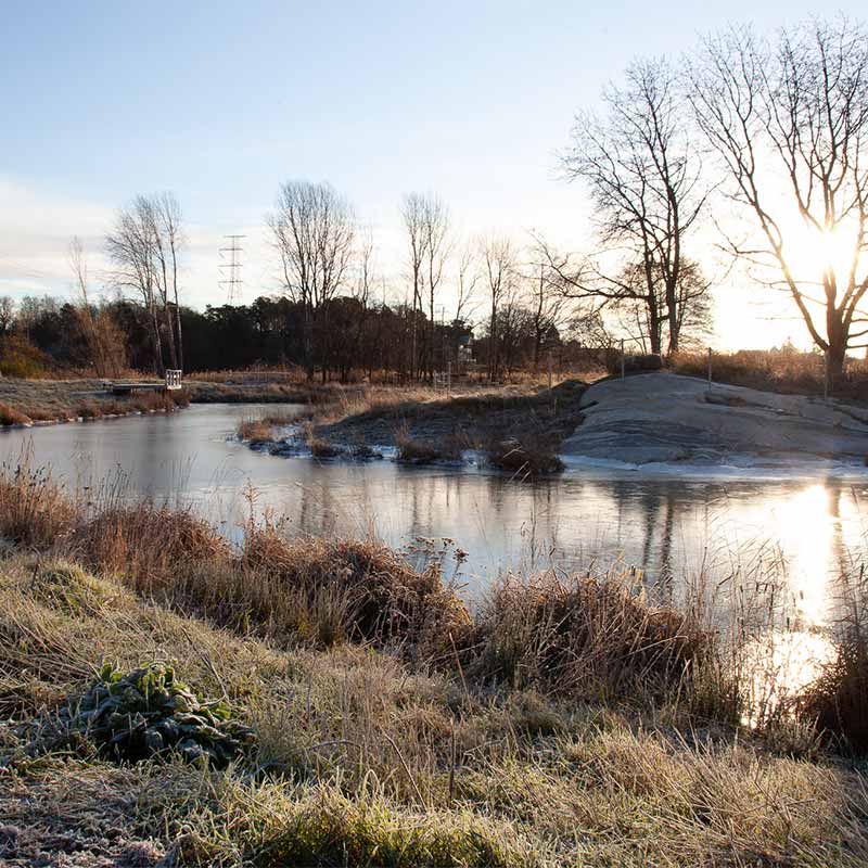 dagvattenpark-sverige Dagvattenparker Stångby Akademi