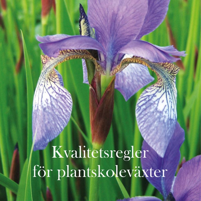 kvalitetsregler-2024-reviderad Kvalitetsregler för plantskoleväxter Stångby Akademi