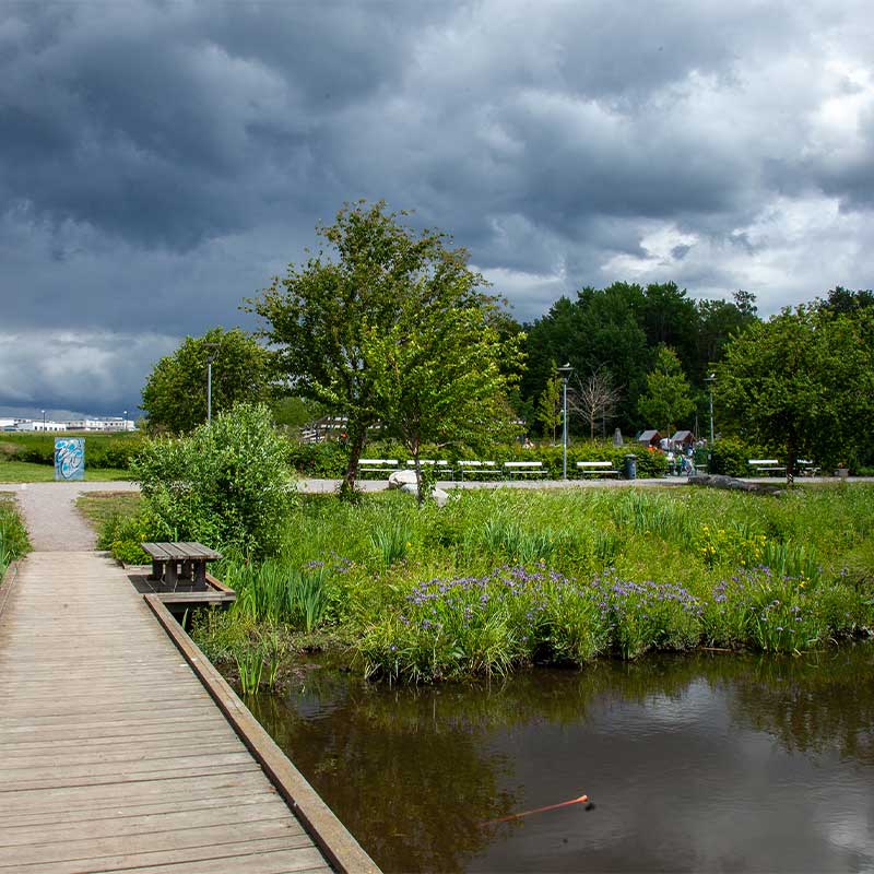 kyrkparken-dagvattenpark Dagvattenparker Kyrkparken Stångby Akademi